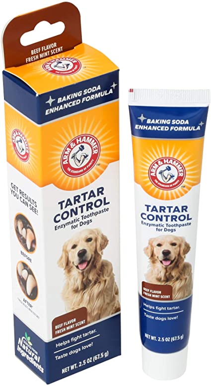 Arm Hammer Tartar Control Enzymatic Toothpaste for Dogs