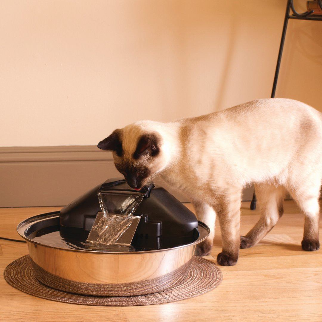 Petsafe drinkwell sale zen steel fountain