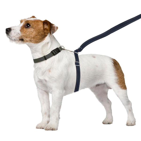 K9 couture collars hotsell